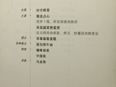 -新加坡航空公司(ION)