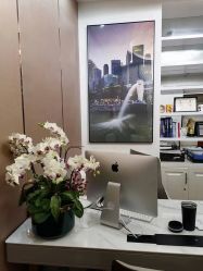 -洁铭新加坡医美