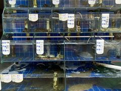 面包甜点陈列柜-香满居张记小厨私房菜(青岛站店)