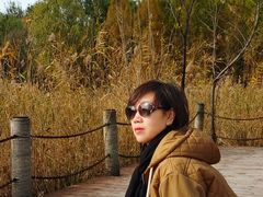 -奥林匹克森林公园北园-停车场