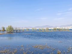 -洱海月湿地公园