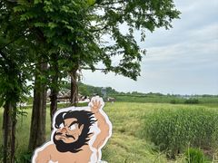 -下渚湖·湿地公园