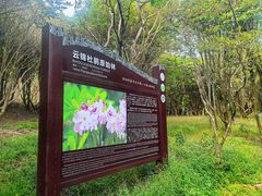 -大围山国家森林公园