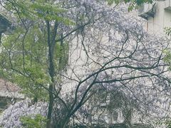 -萬國春·中菜馆(颐和公馆店)