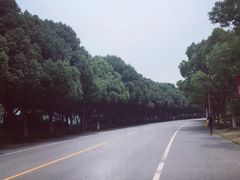 -东华大学(松江校区)