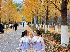 -长白岛森林公园