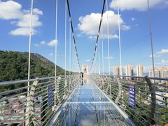 -客天下恐龙水晶玻璃桥