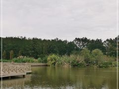 -桤木河湿地公园