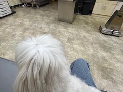 -美联众合动物医院·24h转诊中心