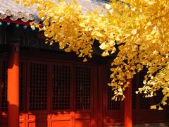 -承恩寺