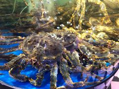 -蟹之国·精品蟹料理(极地店)