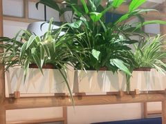 大堂-渝信川菜 · 川味家常菜(财富购物中心店)