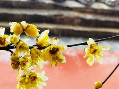 -西安大兴汤院遗址公园