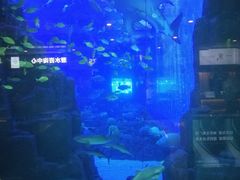 -成都浩海立方海洋公园