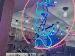 -滚猫咖啡·猫咖·猫友好撸猫(未来城店)