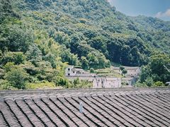 -雁南飞茶田景区