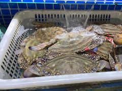 -君霖海鲜私房菜(春柳店)