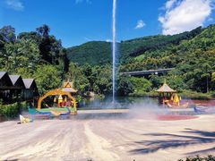 -西双版纳原始森林公园