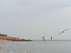 -傅家庄公园