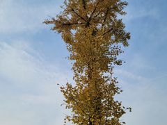 -南京市江宁方山