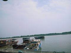-大湾区中央湿地公园-十九涌