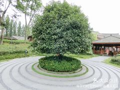 -青城山六善酒店·紫氣園中餐厅