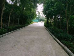 -小南山公园