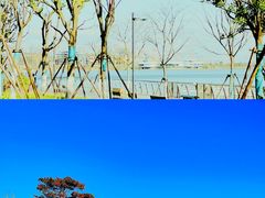 -滴水湖