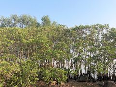 -深圳湾公园(南山区)
