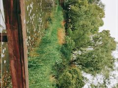 -新江湾城公园