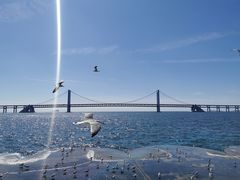 -星海湾跨海大桥
