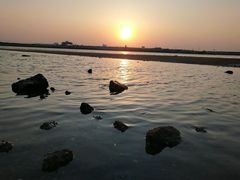 -刘家湾赶海园