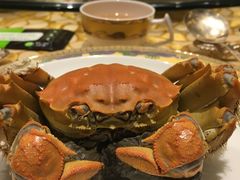 -王宝和酒家(黄浦店)