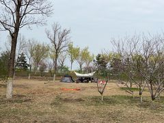 -永定河休闲森林公园