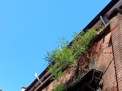 -大韩民国临时政府旧址