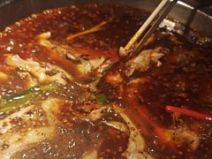 -蜀滋香鲜鱼美蛙火锅(339店)