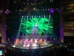 -水秀国际大剧院