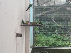 -成都动物园