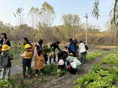 -贝美蓝天幼儿园(河东直沽园)