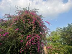 -长鹿旅游休博园