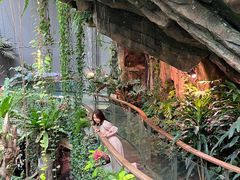 -正佳雨林生态植物园