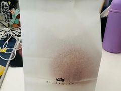 -BLACKSWAN黑天鹅(环球店)