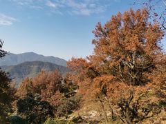 -广州市石门国家森林公园