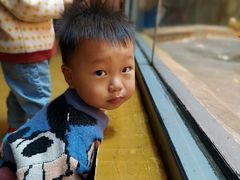 -泉城欧乐堡海洋极地世界