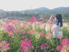 景点-盈香心动乐园