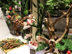 -川骄海鲜自助(亚运村店)