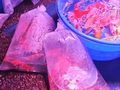 -中环花鸟鱼虫市场