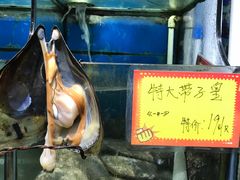 -蚝专家(北滘店)
