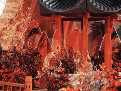 -好友缘酒家(会展中心店)
