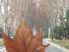 -河南省黄河迎宾馆